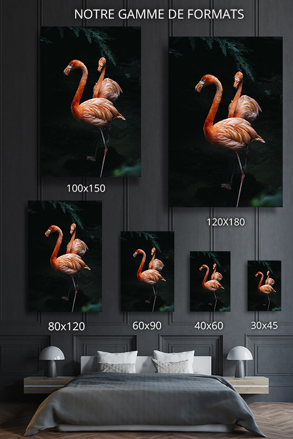 Photo-flamingos-formats-deco