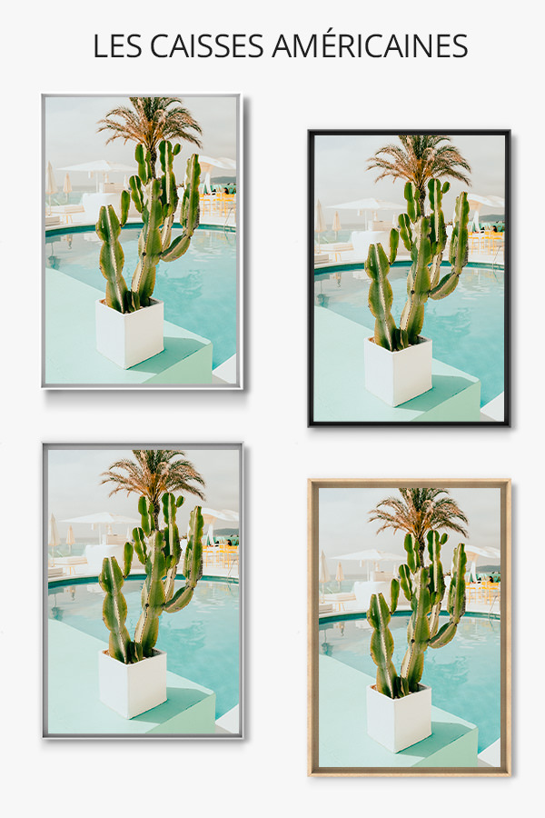 Photo-cactus-caisse-americaine